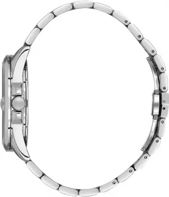 Наручные часы  Daniel Klein  Premium Daniel Klein 14037-3 (фото 2)