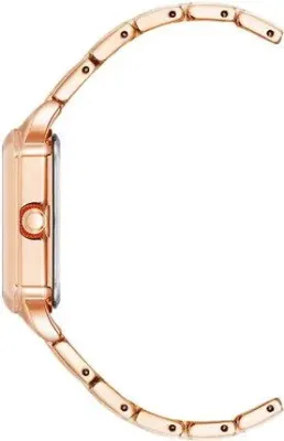 Наручные часы  Anne Klein  Steel Anne Klein 4062RGRG (фото 2)