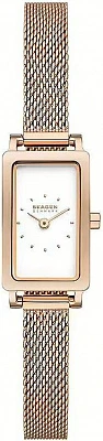 Наручные часы Skagen SKW3148