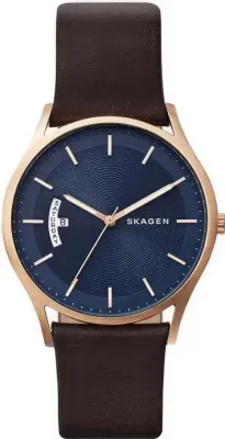 Наручные часы  Skagen  Leather Skagen SKW6395 (фото 1)
