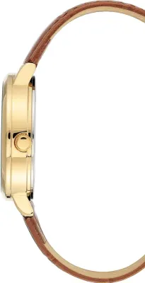 Наручные часы  Anne Klein  Leather Anne Klein 3824CHHY (фото 2)