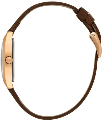 Наручные часы  Daniel Klein  Premium Daniel Klein 14120-5 (фото 2)