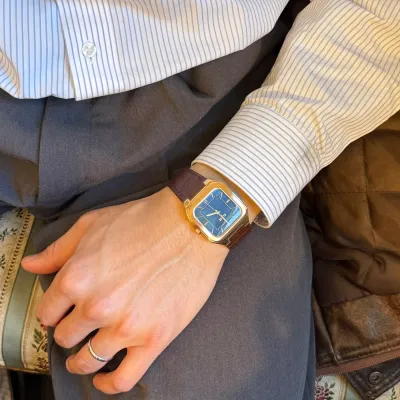 Наручные часы  Cluse  Quadrus Cluse CW25705 (фото 3)