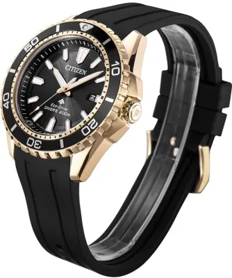 Наручные часы  Citizen  Eco Drive Citizen BN0193-17E (фото 2)