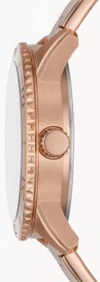 Наручные часы  Fossil  Dayle Fossil BQ3886 (фото 2)