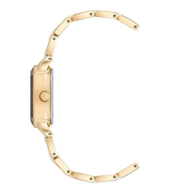 Наручные часы  Anne Klein  Ceramic Anne Klein 5010GPWT (фото 3)