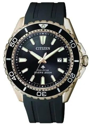 Citizen Eco Drive BN0193-17E
