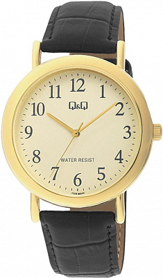 Q&Q Casual C17AJ005Y