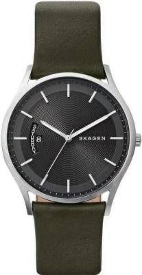 Наручные часы  Skagen  Leather Skagen SKW6394 (фото 1)