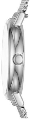 Наручные часы  Skagen  Steel Women Skagen SKW2692 (фото 2)