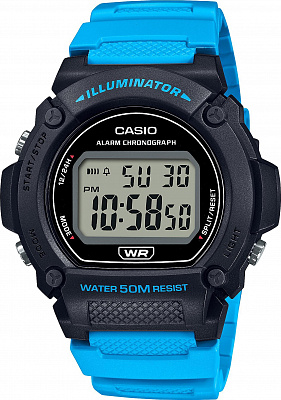 Casio W-219H-2A2