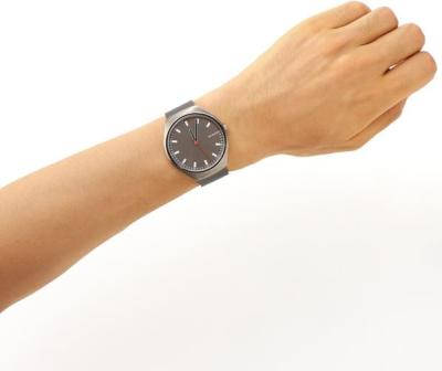 Наручные часы  Skagen  Titanium Skagen SKW6387 (фото 3)