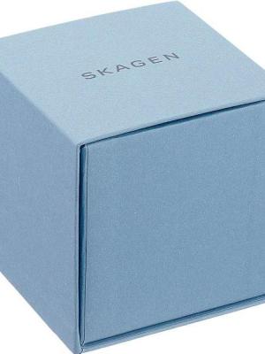 Наручные часы  Skagen  Leather Skagen SKW6430 (фото 2)