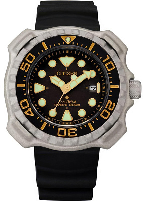 Citizen Eco Drive BN0220-16E