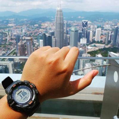 Наручные часы  Casio  ProTrek Casio PRG-270-1E (фото 17)