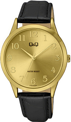 Q&Q Casual C10AJ022Y