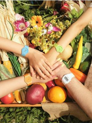 Наручные часы  Casio  Collection Casio LQ-24B-3B (фото 3)