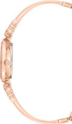 Наручные часы  Anne Klein  Steel Anne Klein 3430RGST (фото 2)