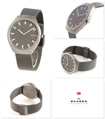 Наручные часы  Skagen  Titanium Skagen SKW6387 (фото 2)