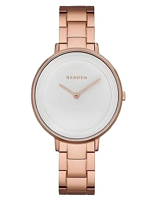 Skagen Steel SKW2331