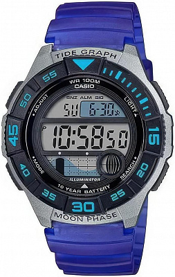 Наручные часы Casio WS-1100H-2A