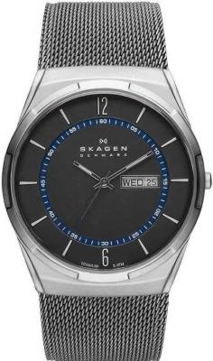 Наручные часы  Skagen  Titanium Skagen SKW6078 (фото 1)