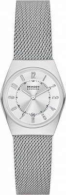 Наручные часы Skagen SKW3038