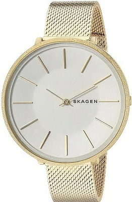 Skagen Steel Women SKW2722