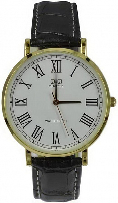 Q&Q Casual Q978J809Y