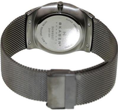 Наручные часы  Skagen  Titanium Skagen SKW6007 (фото 3)