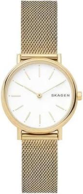Наручные часы  Skagen  Steel Women Skagen SKW2693 (фото 1)