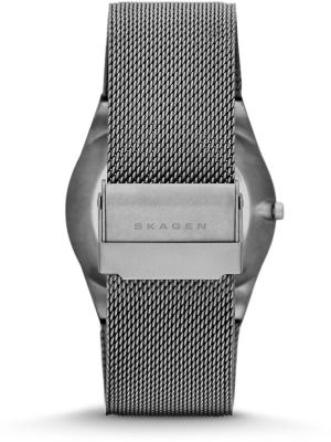 Наручные часы  Skagen  Titanium Skagen SKW6078 (фото 2)
