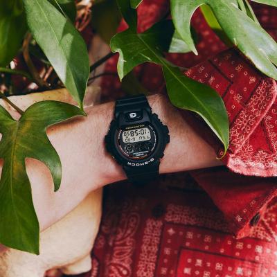 Casio DW-6900RL-1E