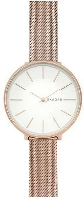 Skagen Steel Women SKW2726