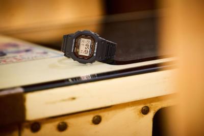 Наручные часы  Casio  G-Shock Casio DW-5000R-1A (фото 12)