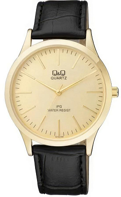 Q&Q Casual C212J100Y