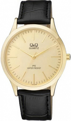 Q&Q Casual C212J100Y