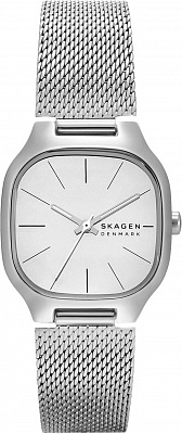 Наручные часы Skagen SKW3163