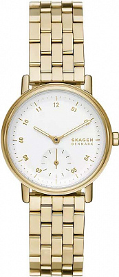 Skagen Aaren SKW3102