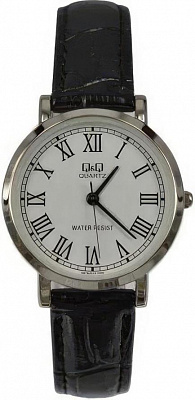 Q&Q Q979J813Y