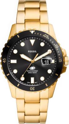 Наручные часы  Fossil  Blue Fossil FS6035 (фото 1)