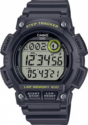 Casio WS-2100H-8A
