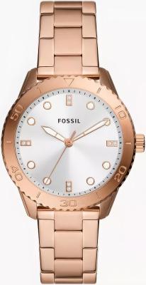 Наручные часы  Fossil  Dayle Fossil BQ3886 (фото 1)