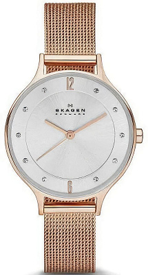 Skagen Steel SKW2151