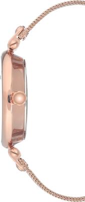Наручные часы  Anne Klein  Steel Anne Klein 3000BYRG (фото 2)