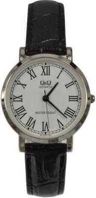 Наручные часы  Q&Q  Casual Q&Q Q979J813Y (фото 1)
