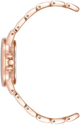 Наручные часы  Anne Klein  Metals Anne Klein 4132BLRG (фото 3)