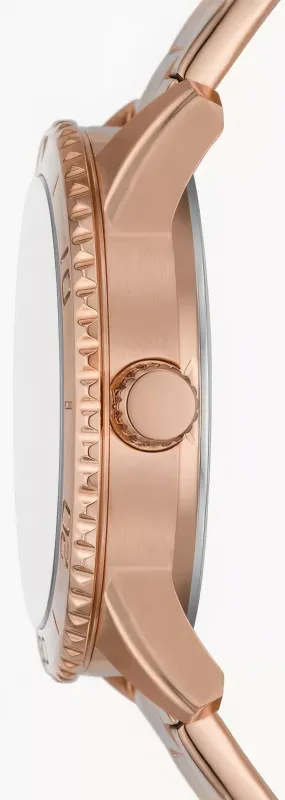 Наручные часы  Fossil  Dayle Fossil BQ3886 (фото 2)