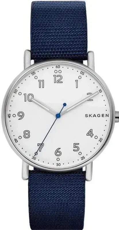Наручные часы  Skagen  Mesh Skagen SKW6356 (фото 1)