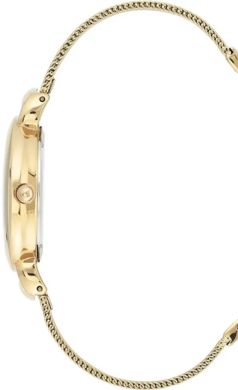 Наручные часы  Anne Klein  Steel Anne Klein 3806SVGB (фото 2)